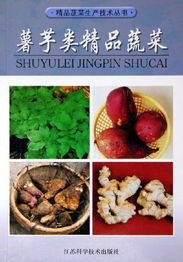 薯芋类精品蔬菜 精品蔬菜生产技术丛书 精品蔬菜生产技术丛书