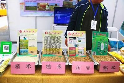 第一届济南都市农产品博览会 “优秀参展企业”、“十佳参展商品”评选活动正在进行中…